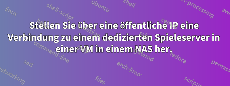 Stellen Sie über eine öffentliche IP eine Verbindung zu einem dedizierten Spieleserver in einer VM in einem NAS her.