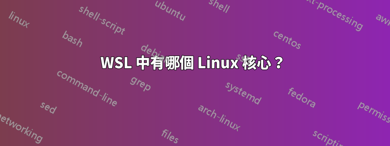 WSL 中有哪個 Linux 核心？