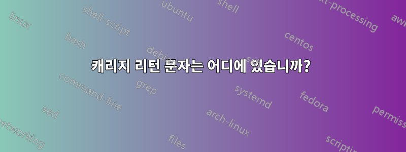 캐리지 리턴 문자는 어디에 있습니까?