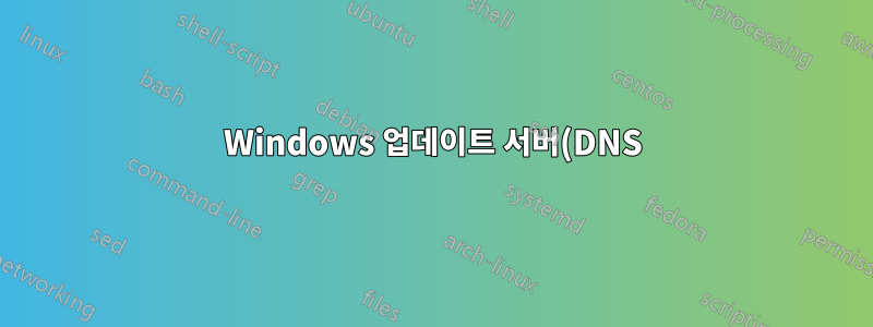 Windows 업데이트 서버(DNS)에 경로(IP ?) 추가