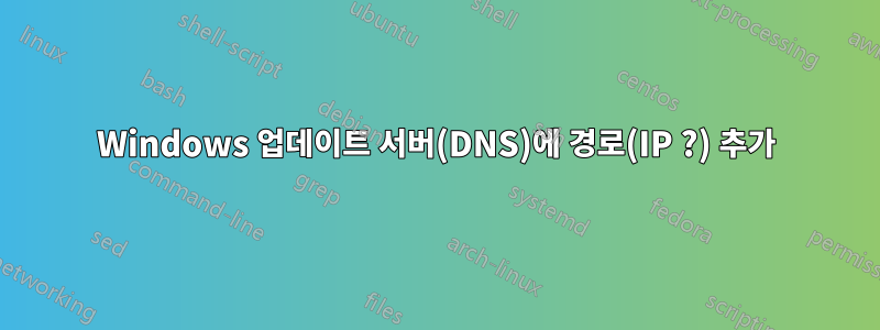 Windows 업데이트 서버(DNS)에 경로(IP ?) 추가
