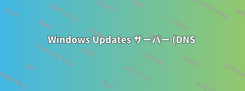 Windows Updates サーバー (DNS) にルート (IP など) を追加する