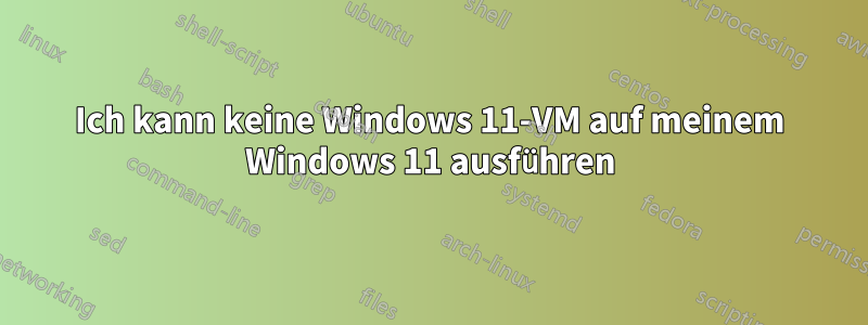 Ich kann keine Windows 11-VM auf meinem Windows 11 ausführen