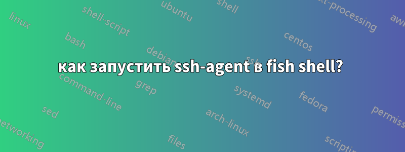 как запустить ssh-agent в fish shell?