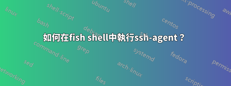 如何在fish shell中執行ssh-agent？