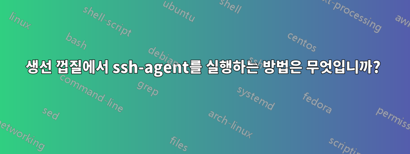 생선 껍질에서 ssh-agent를 실행하는 방법은 무엇입니까?