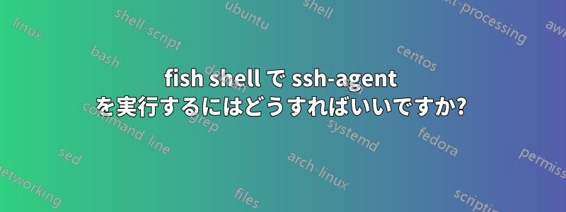 fish shell で ssh-agent を実行するにはどうすればいいですか?