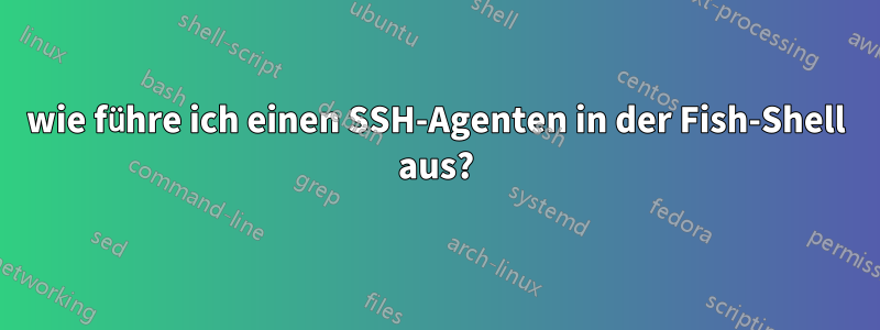 wie führe ich einen SSH-Agenten in der Fish-Shell aus?