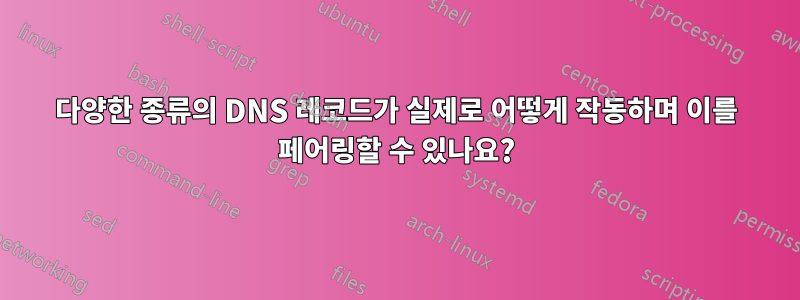 다양한 종류의 DNS 레코드가 실제로 어떻게 작동하며 이를 페어링할 수 있나요?