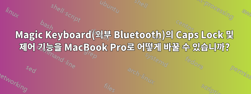 Magic Keyboard(외부 Bluetooth)의 Caps Lock 및 제어 기능을 MacBook Pro로 어떻게 바꿀 수 있습니까?