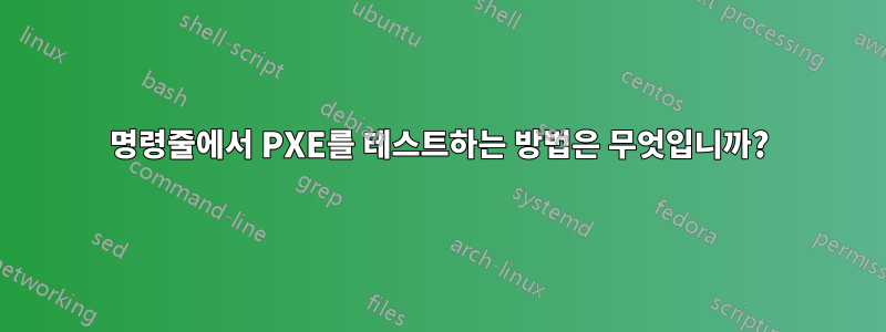 명령줄에서 PXE를 테스트하는 방법은 무엇입니까?