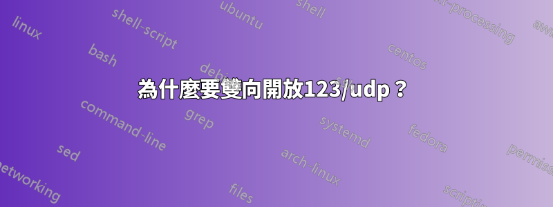 為什麼要雙向開放123/udp？