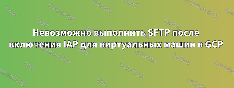 Невозможно выполнить SFTP после включения IAP для виртуальных машин в GCP