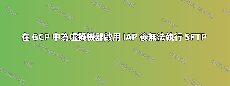 在 GCP 中為虛擬機器啟用 IAP 後無法執行 SFTP