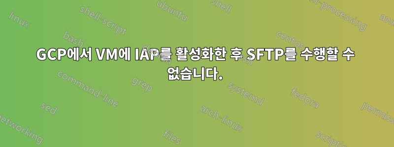 GCP에서 VM에 IAP를 활성화한 후 SFTP를 수행할 수 없습니다.