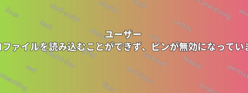 ユーザー プロファイルを読み込むことができず、ピンが無効になっています