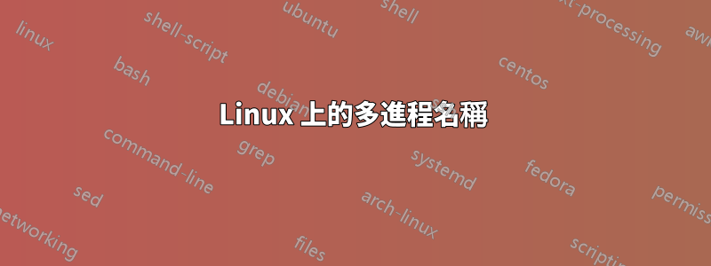 Linux 上的多進程名稱