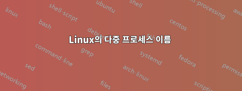 Linux의 다중 프로세스 이름