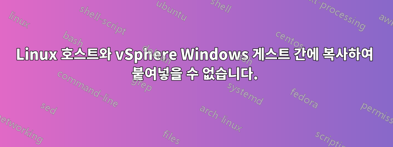 Linux 호스트와 vSphere Windows 게스트 간에 복사하여 붙여넣을 수 없습니다.