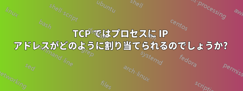 TCP ではプロセスに IP アドレスがどのように割り当てられるのでしょうか?