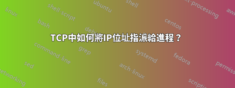 TCP中如何將IP位址指派給進程？