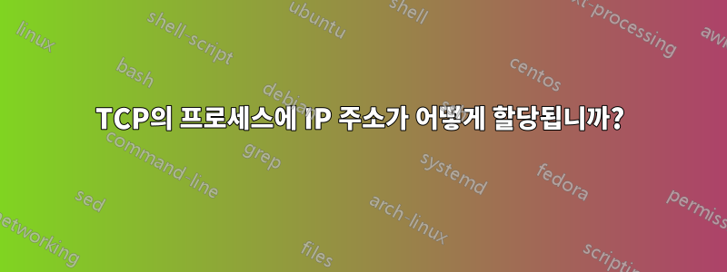 TCP의 프로세스에 IP 주소가 어떻게 할당됩니까?