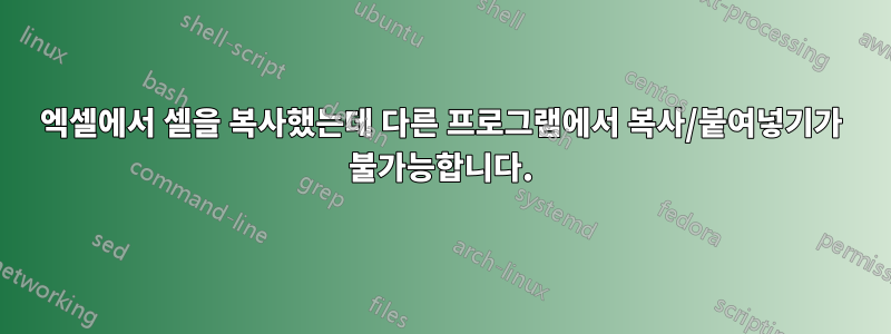 엑셀에서 셀을 복사했는데 다른 프로그램에서 복사/붙여넣기가 불가능합니다.