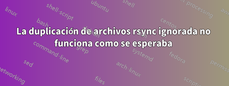 La duplicación de archivos rsync ignorada no funciona como se esperaba