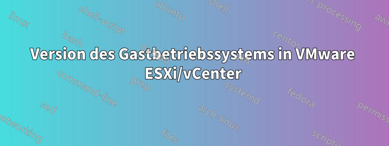 Version des Gastbetriebssystems in VMware ESXi/vCenter