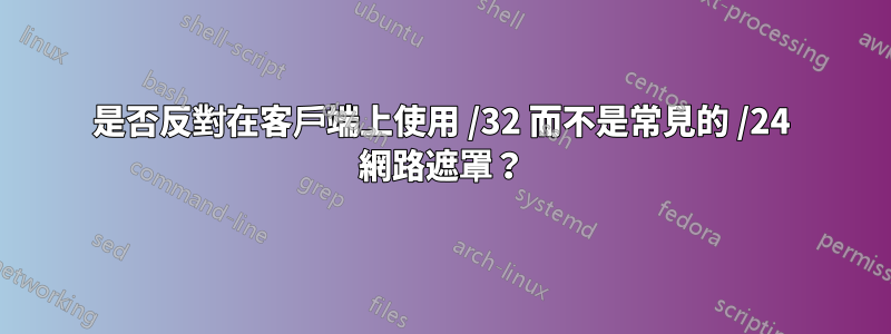 是否反對在客戶端上使用 /32 而不是常見的 /24 網路遮罩？