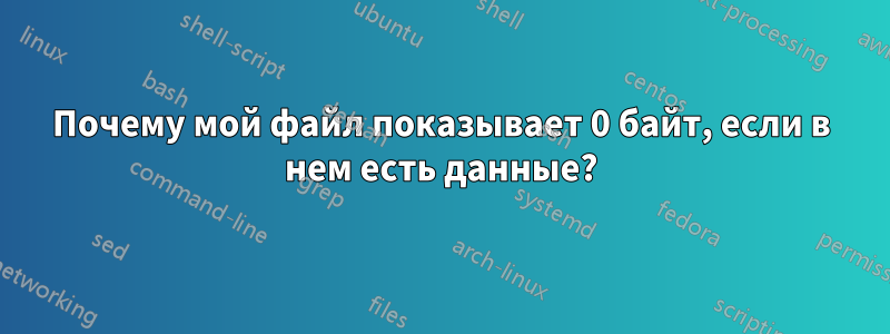 Почему мой файл показывает 0 байт, если в нем есть данные?