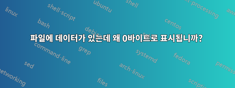 파일에 데이터가 있는데 왜 0바이트로 표시됩니까?