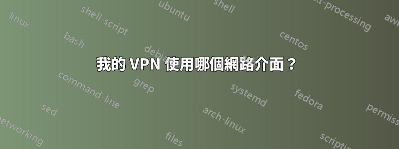 我的 VPN 使用哪個網路介面？