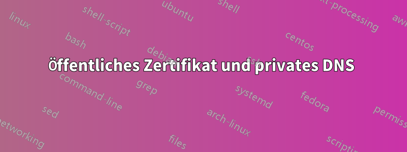 Öffentliches Zertifikat und privates DNS