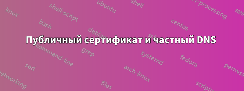 Публичный сертификат и частный DNS