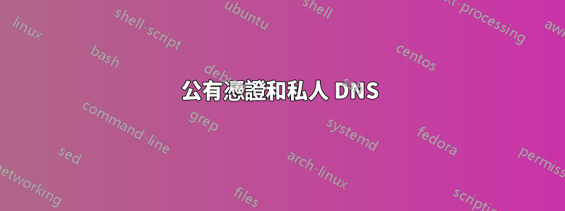 公有憑證和私人 DNS