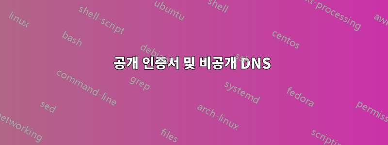 공개 인증서 및 비공개 DNS