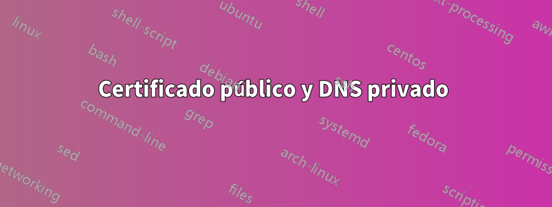 Certificado público y DNS privado