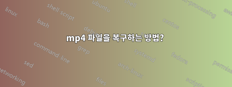 mp4 파일을 복구하는 방법?