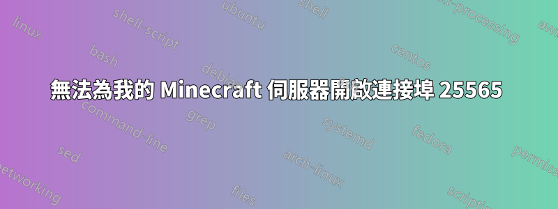 無法為我的 Minecraft 伺服器開啟連接埠 25565