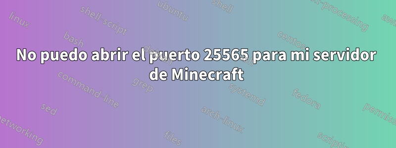 No puedo abrir el puerto 25565 para mi servidor de Minecraft