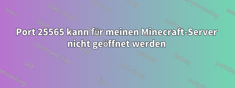 Port 25565 kann für meinen Minecraft-Server nicht geöffnet werden