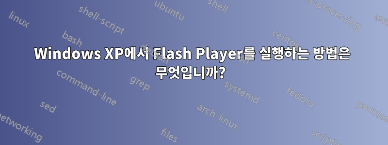 Windows XP에서 Flash Player를 실행하는 방법은 무엇입니까? 