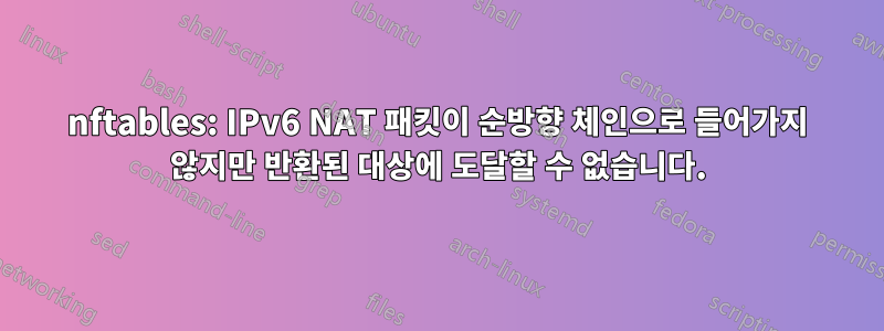 nftables: IPv6 NAT 패킷이 순방향 체인으로 들어가지 않지만 반환된 대상에 도달할 수 없습니다.