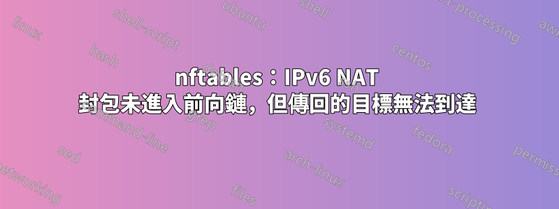 nftables：IPv6 NAT 封包未進入前向鏈，但傳回的目標無法到達