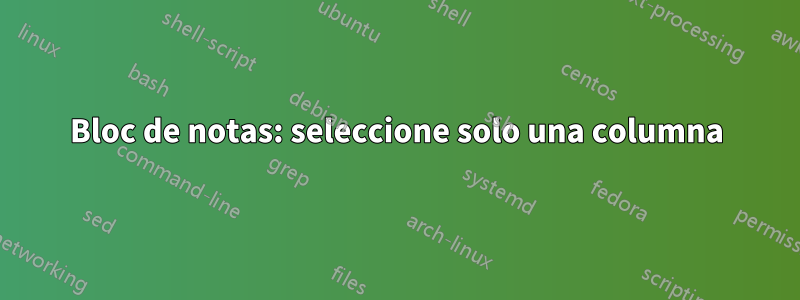 Bloc de notas: seleccione solo una columna