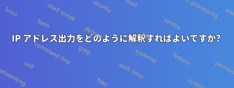 IP アドレス出力をどのように解釈すればよいですか?