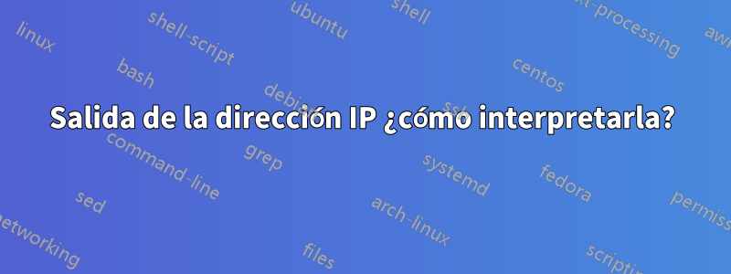 Salida de la dirección IP ¿cómo interpretarla?