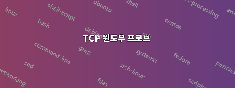 TCP 윈도우 프로브