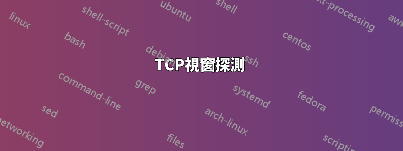 TCP視窗探測